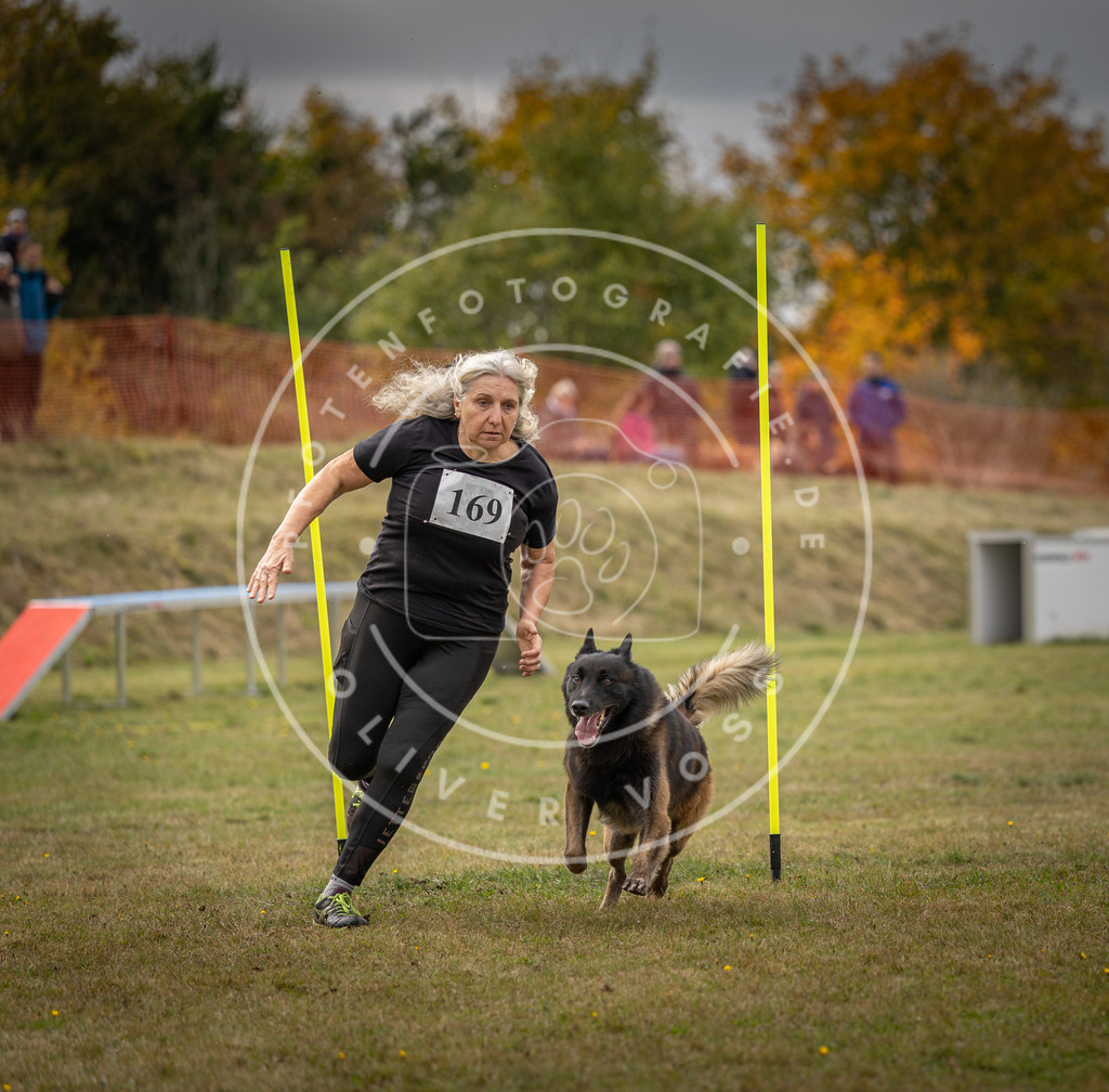 Pfotenfotografie_DV3A5827 | Hundefotografie, Tierfotograf, Pfotenfotografie, Fotoshooting Hund, Hunde Portrait, Hundesport, Hundeportraits, Heideshooting, Hunde, Sportfotograf, Hundefotograf, Turnierhundsport, THS,  - Realisiert mit Pictrs.com