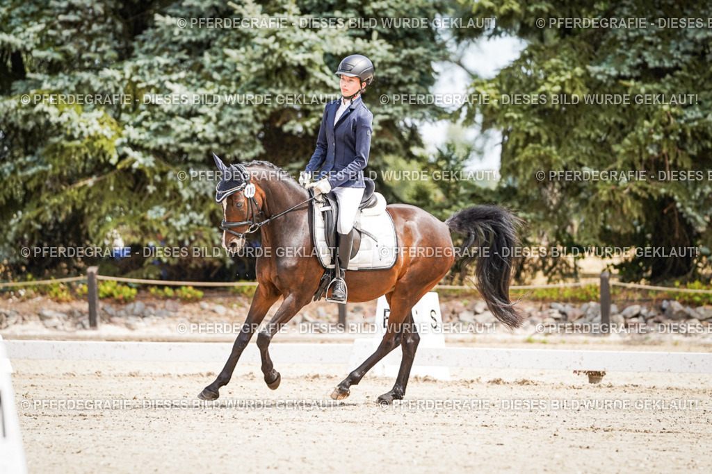 DSC02526 | Pferdegrafie