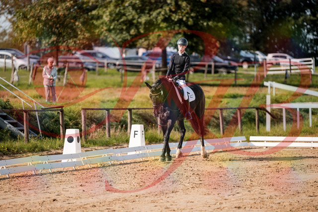 2026_10_03_Siefer-Hof_115459_Z63_30265282 | Professionelle Reitsport-, Turnier- und Eventfotografie von Robert Broda. Galerien mit ausgewählten und bearbeiteten Bildern direkt online ansehen und bestellen.