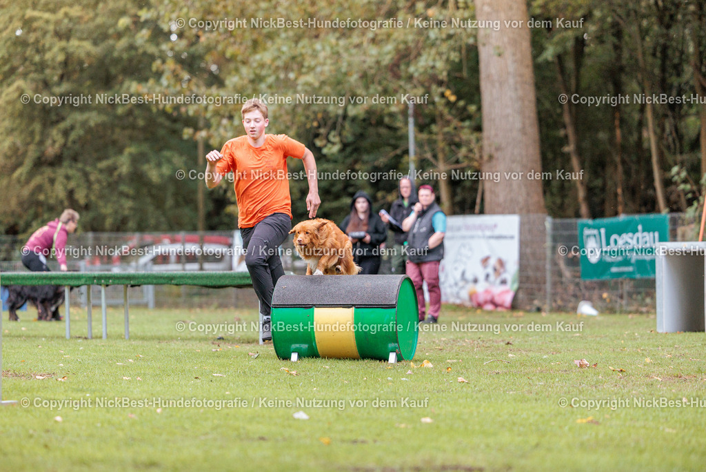THS-HSV-Blumenthal-2026-Nickbest-Hundefotografie-4308 | Dein Hund! Dein Moment! Deine Erinnerungen! Hundefotografie in Bremen Blumenthal. Ich fange die besonderen Momente deines Vierbeiners ein – ob Indoor mit Blitzanlage oder in der freien Natur. Sicher dir dein Moment und dein Termin für eure Erinnerungen.