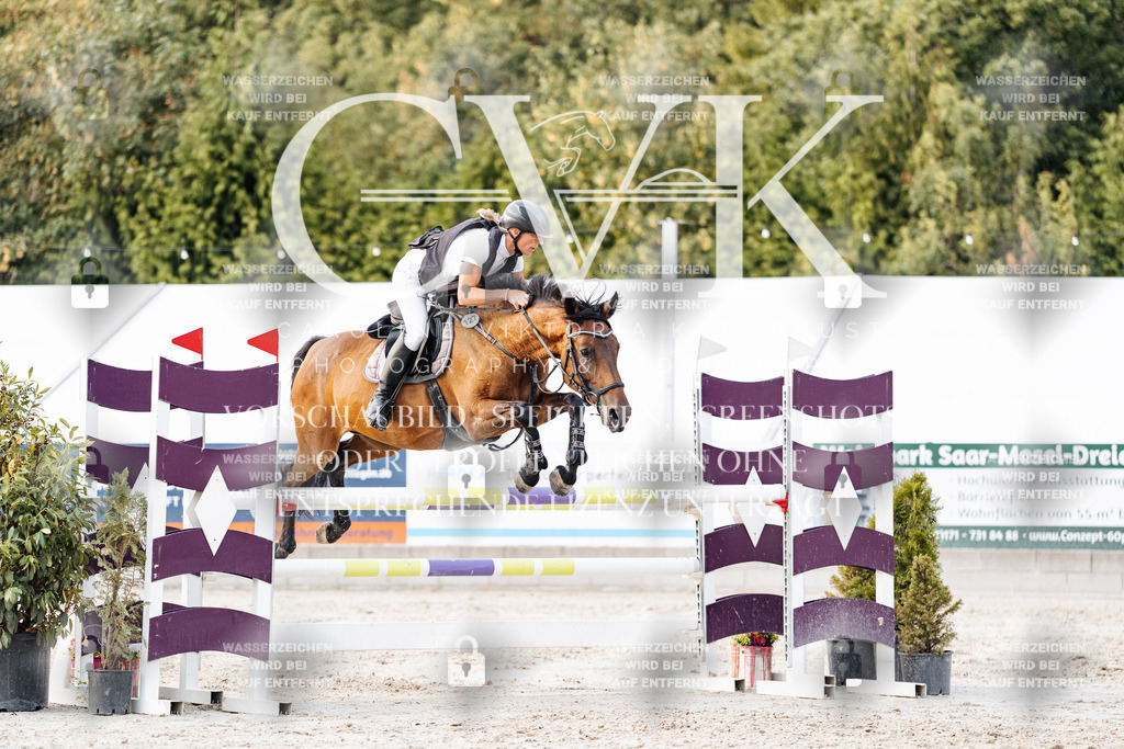 CK904051 | Turnierfotografie Pferdefotografie Trier Rheinland-Pfalz Pferdesport Reitsport Tierfotografie Sportfotografie Pferdevideo Pferdevideografie Equestrianvideography equestrianphotography  - Realisiert mit Pictrs.com