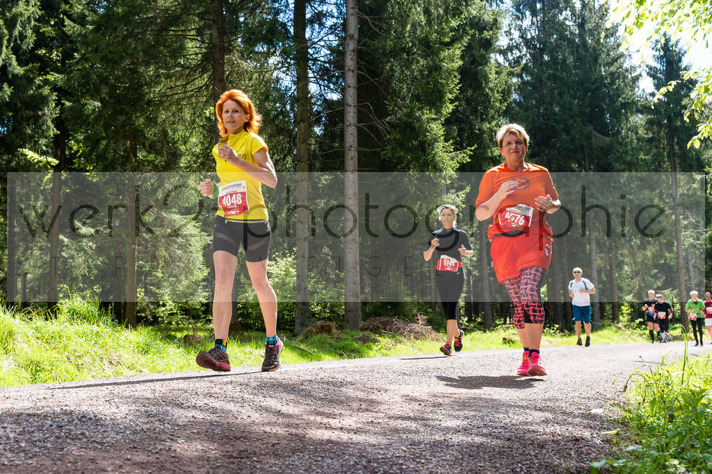 Rennsteiglauf 2019 | Marathon Neuhaus/Rwg. - Schmiedefeld am 18. Mai 2019