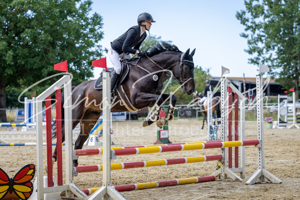 20260704-_3LI6386 | Tierfotografie Pferde, Hunde, Katzen, Haustiere.
Turnierfotografie Reitturniere, Reiten, Springreiten, Dressur in Hanau, dem Main-Kinzig-Kreis und dem Rhein-Main- Gebiet um Frankfurt