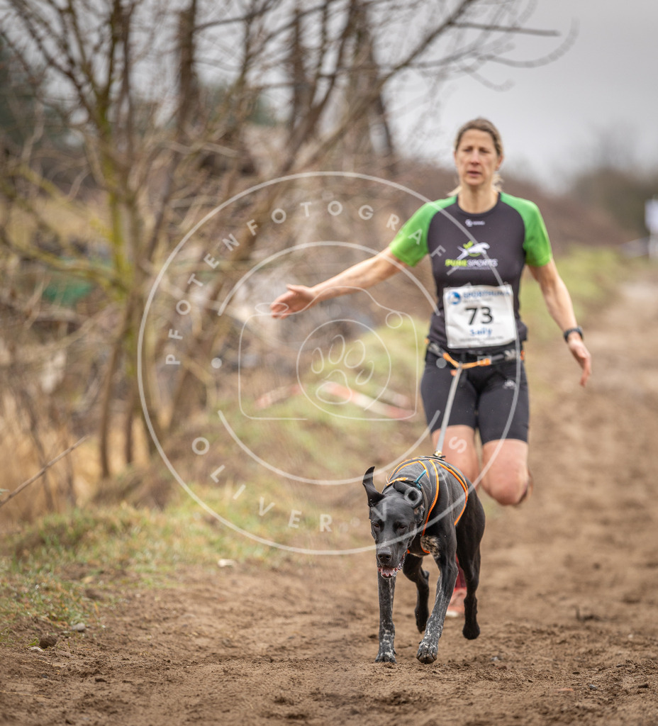 DV3A9695 | Hundefotografie, Tierfotograf, Pfotenfotografie, Fotoshooting Hund, Hunde Portrait, Hundesport, Hundeportraits, Heideshooting, Hunde, Sportfotograf, Hundefotograf, Turnierhundsport, THS,  - Realisiert mit Pictrs.com