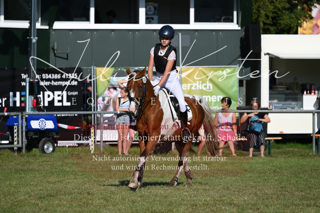 DSC_4901 | Pferde- und Turnierfotografie in Westsachsen. Pferdeportraits, Auftragszeichnungen und intuitive Kunst.