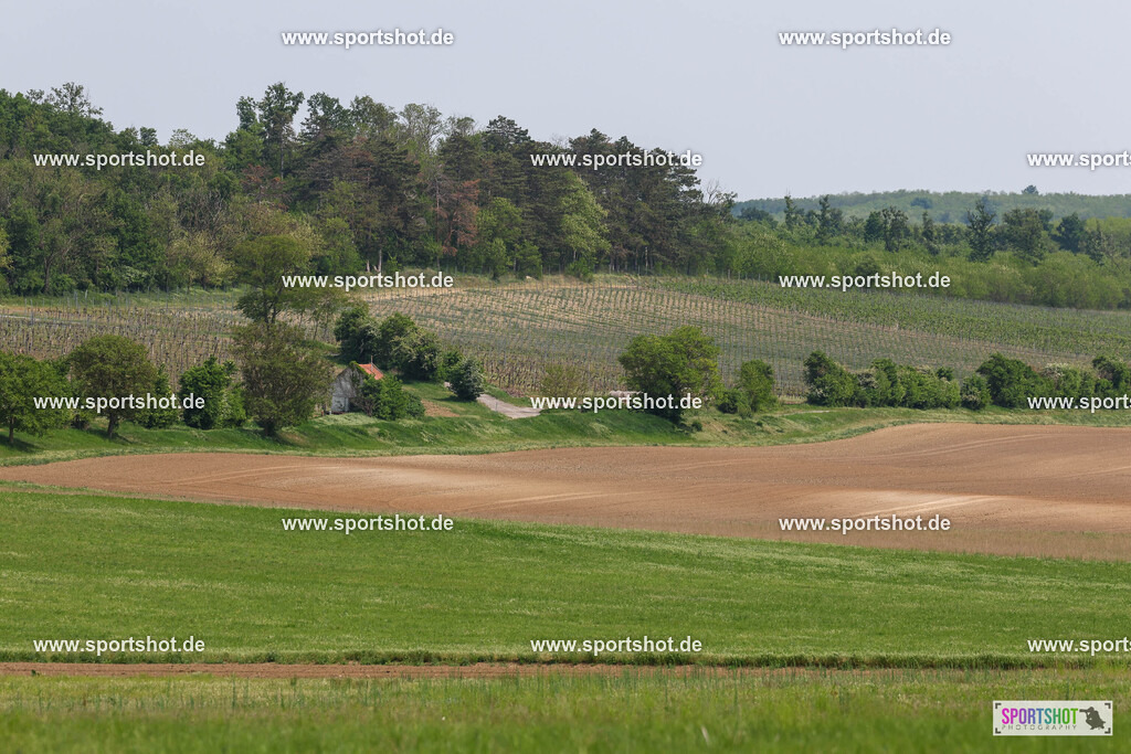 GY5A3130 | Neusiedler See Radmarathon 2025 #neusiedlerseeradmarathon #yourpictrs #sportshot_your_pictrs @Sportshotphotography Copyright:www.sportshot.de