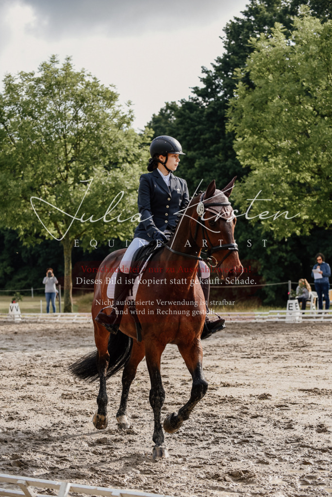 DSC_8618 | Pferde- und Turnierfotografie in Westsachsen. Pferdeportraits, Auftragszeichnungen und intuitive Kunst.