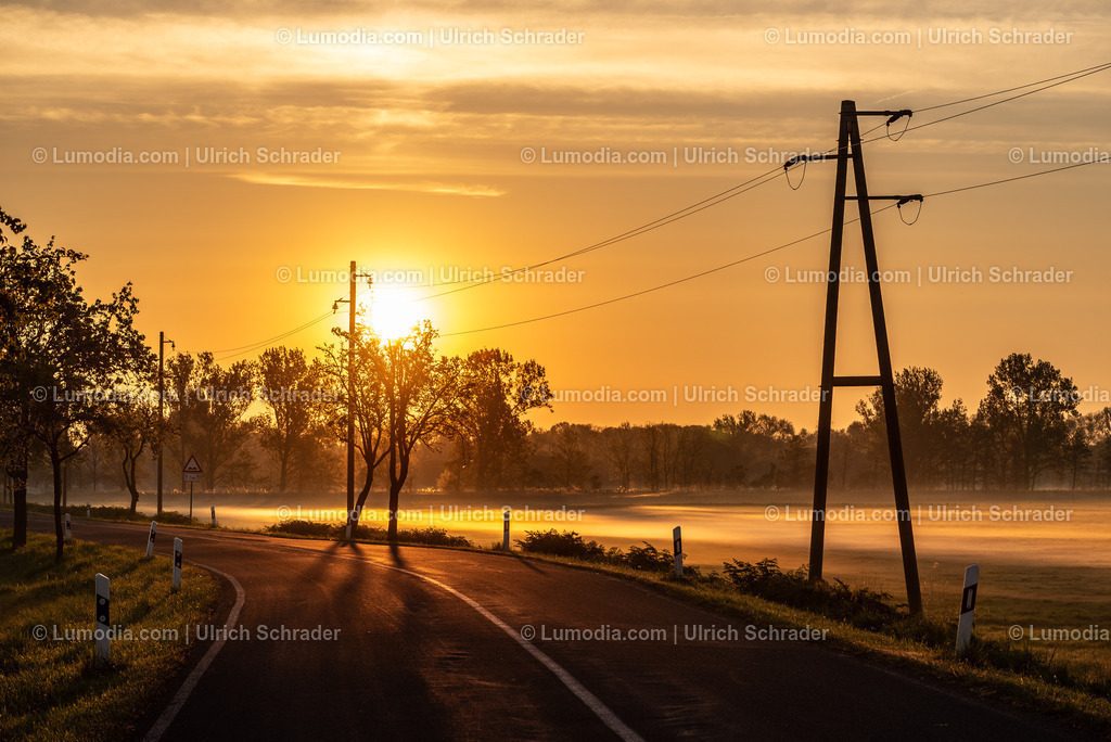 10049-13902 - Sonnenaufgang im Großen Bruch | Stockfoto und Bilderpool mit Bildmaterial aus Deutschland, dem Harz, Halberstadt, Quedlinburg, Wernigerode und weltweit. Qualitativ hochwertige und professionelle Fotos anschauen und kaufen. - Realisiert mit Pictrs.com