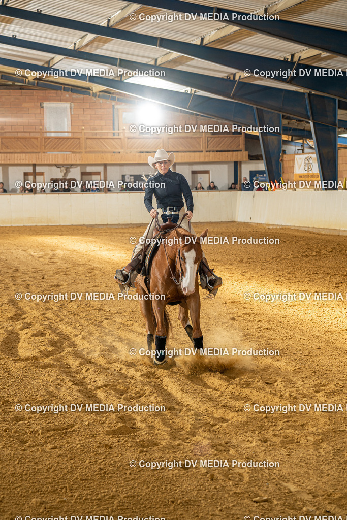 MIT01052 | dv-media-shop - Realisiert mit Pictrs.com