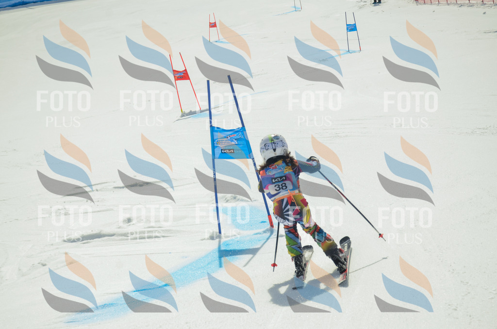 _ELE4995 | holidayphoto