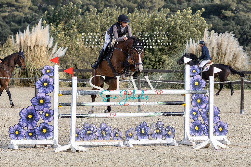 IMG_0435 | s-jay-photography - Realisiert mit Pictrs.com