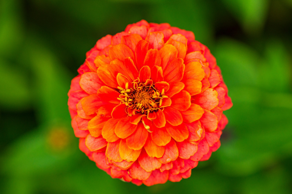 2023_08_13_HH-BOTANISCHER-GARTEN_MCP1602 | Hochwertig gedruckte Fotografien für die Wand, als Kalender und zum Verschenken. Hamburg & Norddeutschland und überall wo ich mit der Kamera unterwegs war.