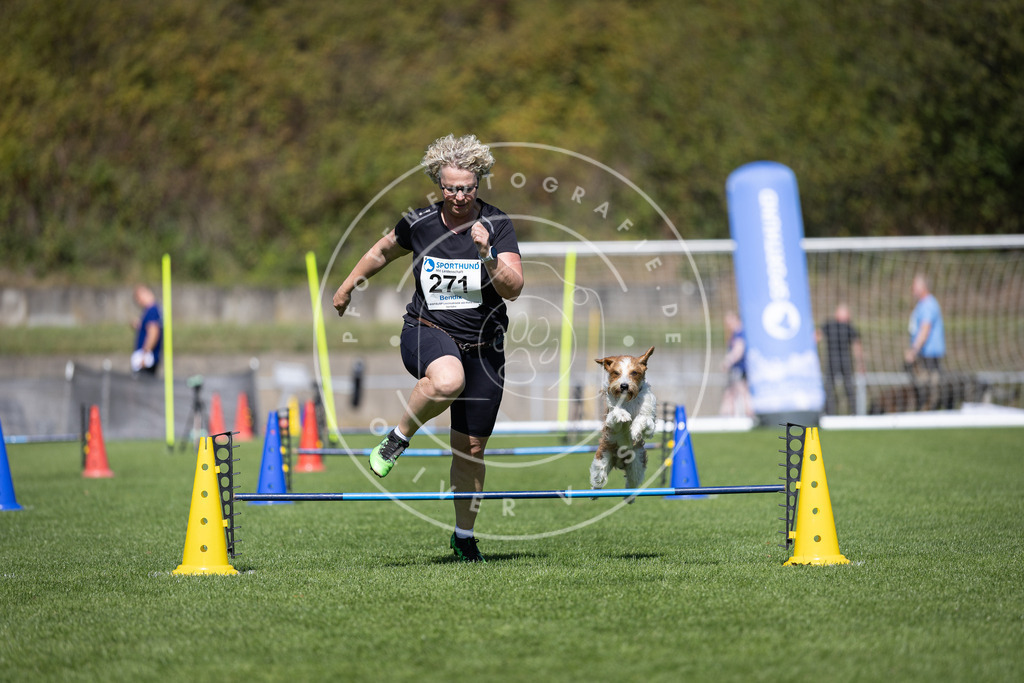 Pfotenfotografie_DV3A6836 | Hundefotografie, Tierfotograf, Pfotenfotografie, Fotoshooting Hund, Hunde Portrait, Hundesport, Hundeportraits, Heideshooting, Hunde, Sportfotograf, Hundefotograf, Turnierhundsport, THS,  - Realisiert mit Pictrs.com