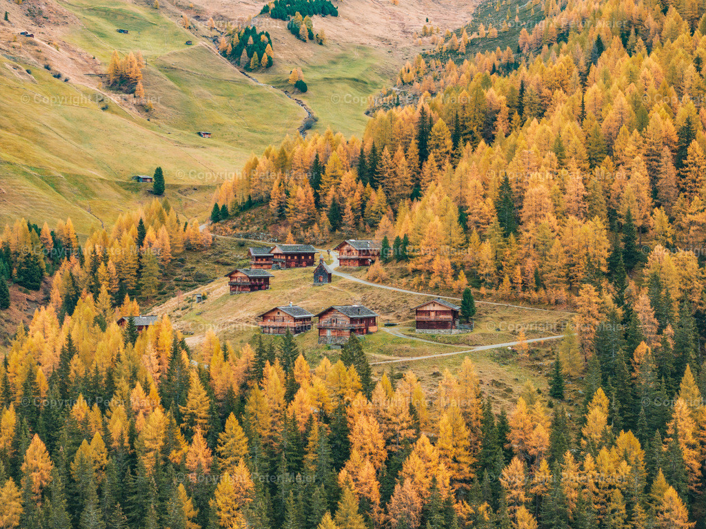 Kamelisenalm_Herbst_2023-4 | default