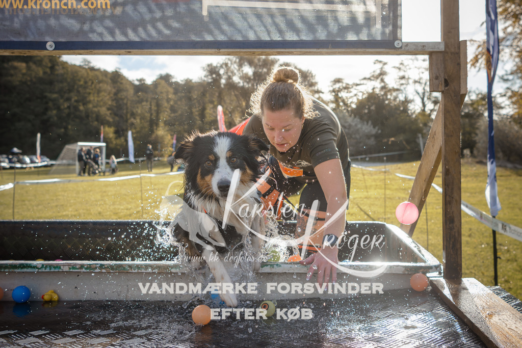 0955_ZZ99017 | kk-dogfotos