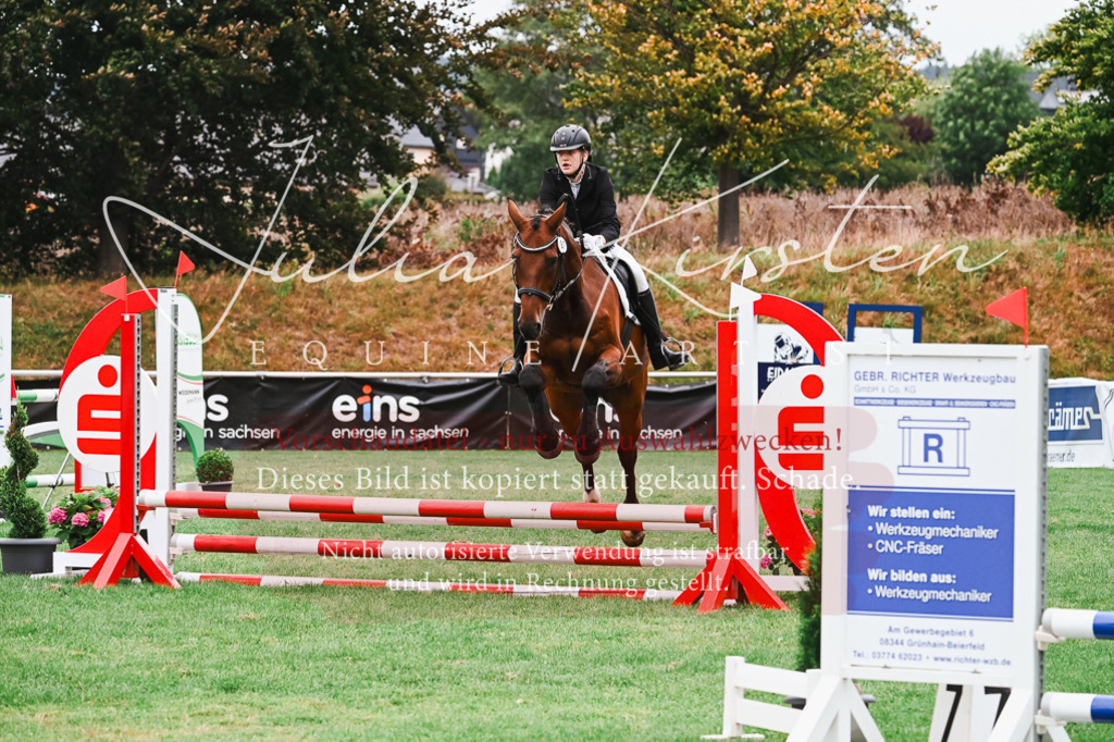 DSC_5961 | Pferde- und Turnierfotografie in Westsachsen. Pferdeportraits, Auftragszeichnungen und intuitive Kunst.
