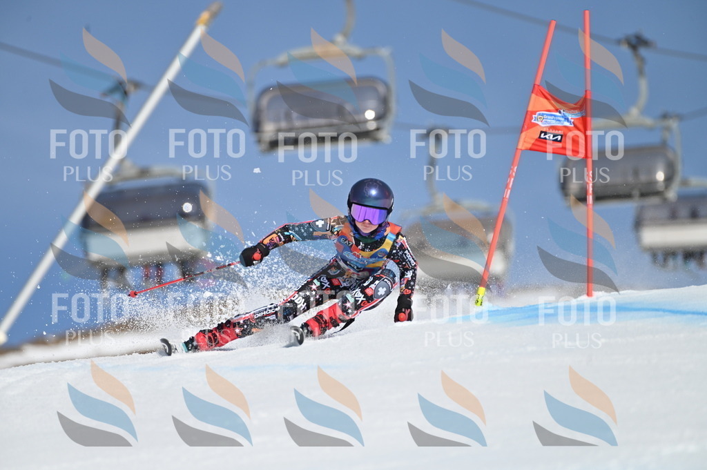 BGV_8953 | holidayphoto