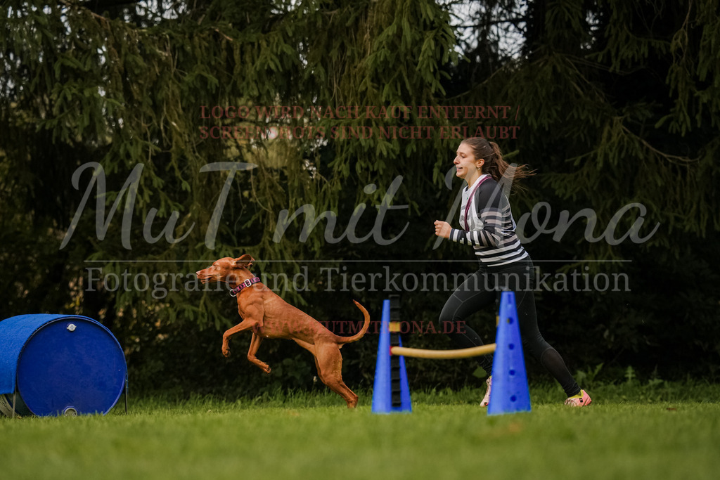 20251005_THS_Turnier-711 | MuT (Mensch und Tier) mit Mona - Fotografie und Tierkommunikation - Realisiert mit Pictrs.com