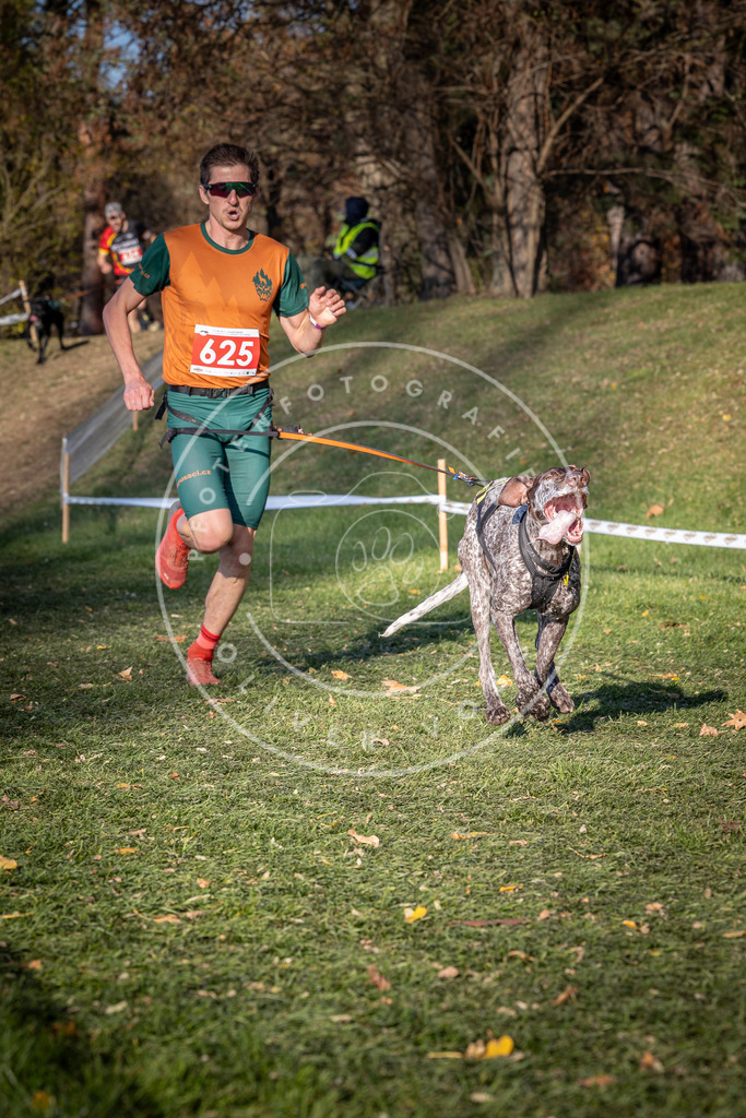 CaniXpix_0L8A8823 | Hundefotografie, Tierfotograf, Pfotenfotografie, Fotoshooting Hund, Hunde Portrait, Hundesport, Hundeportraits, Heideshooting, Hunde, Sportfotograf, Hundefotograf, Turnierhundsport, THS,  - Realisiert mit Pictrs.com