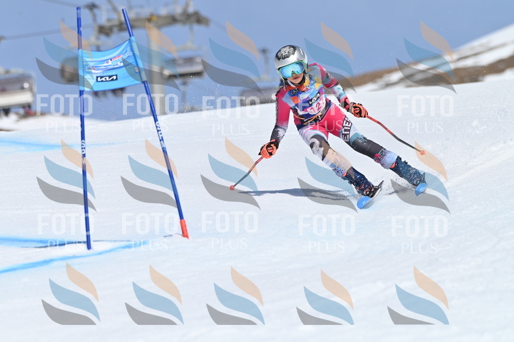 BGV_9931 | holidayphoto