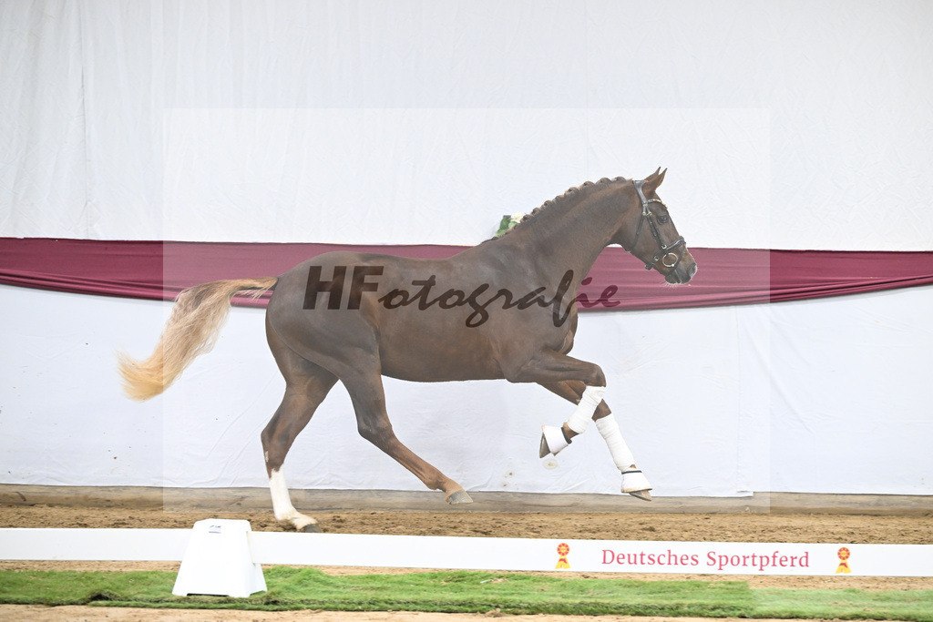 Kat-Nr. 64 Sky x Damsey_Heiko Klausing_47252322 | hf-fotografie - Realisiert mit Pictrs.com