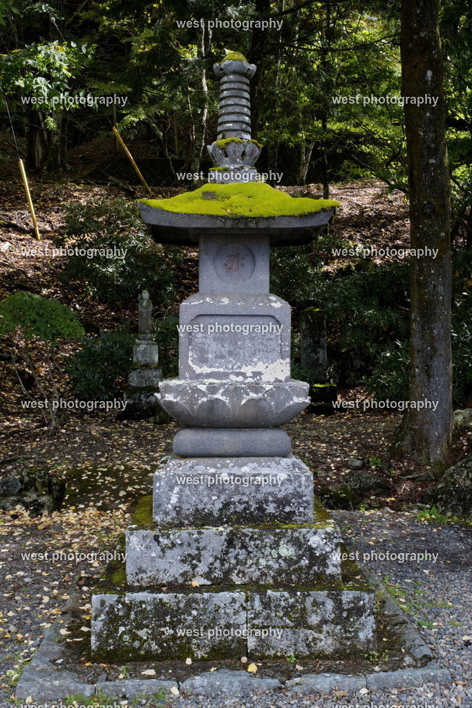 Gorint_ - JPN 2025 | west photography - Realisiert mit Pictrs.com