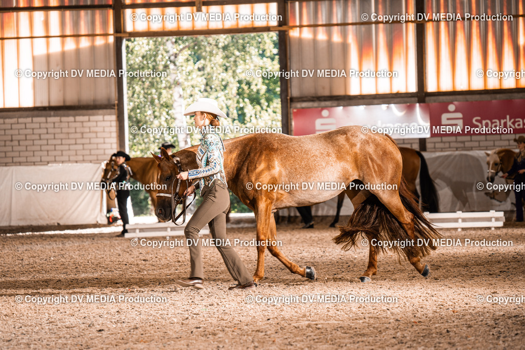 ZH100014 | dv-media-shop - Realisiert mit Pictrs.com