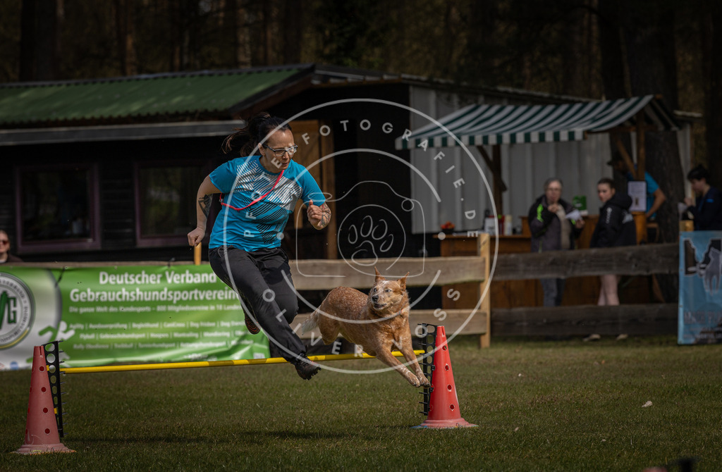 Pfotenfotografie_DV3A3902 | Hundefotografie, Tierfotograf, Pfotenfotografie, Fotoshooting Hund, Hunde Portrait, Hundesport, Hundeportraits, Heideshooting, Hunde, Sportfotograf, Hundefotograf, Turnierhundsport, THS,  - Realisiert mit Pictrs.com