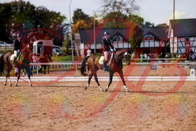 2026_10_03_Siefer-Hof_132512_Z81_74579598 | Professionelle Reitsport-, Turnier- und Eventfotografie von Robert Broda. Galerien mit ausgewählten und bearbeiteten Bildern direkt online ansehen und bestellen.