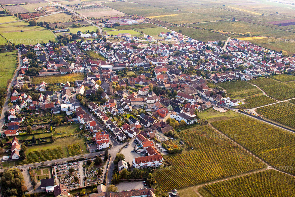 Luftbild: Weinbergen im Ortsteil Königsbach in Ruppertsberg im Bundesland Rheinland-Pfalz in Deutschland. Foto: IMG_22009.jpg vom 15.10.2009 durch Werner Riehm/FLY-FOTO.de