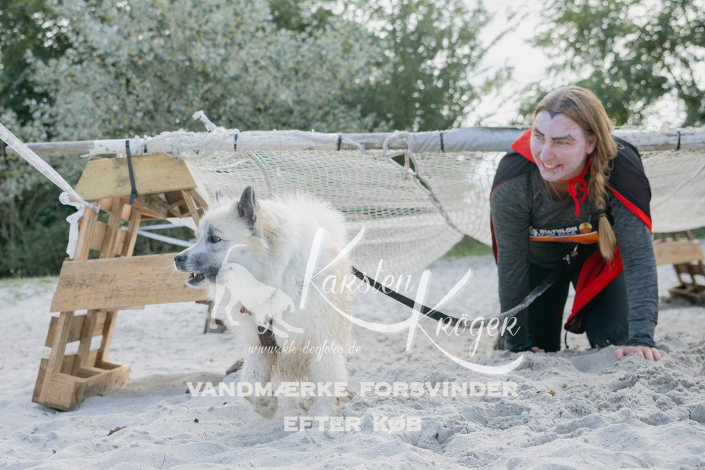 1320_ZZ95981 | kk-dogfotos