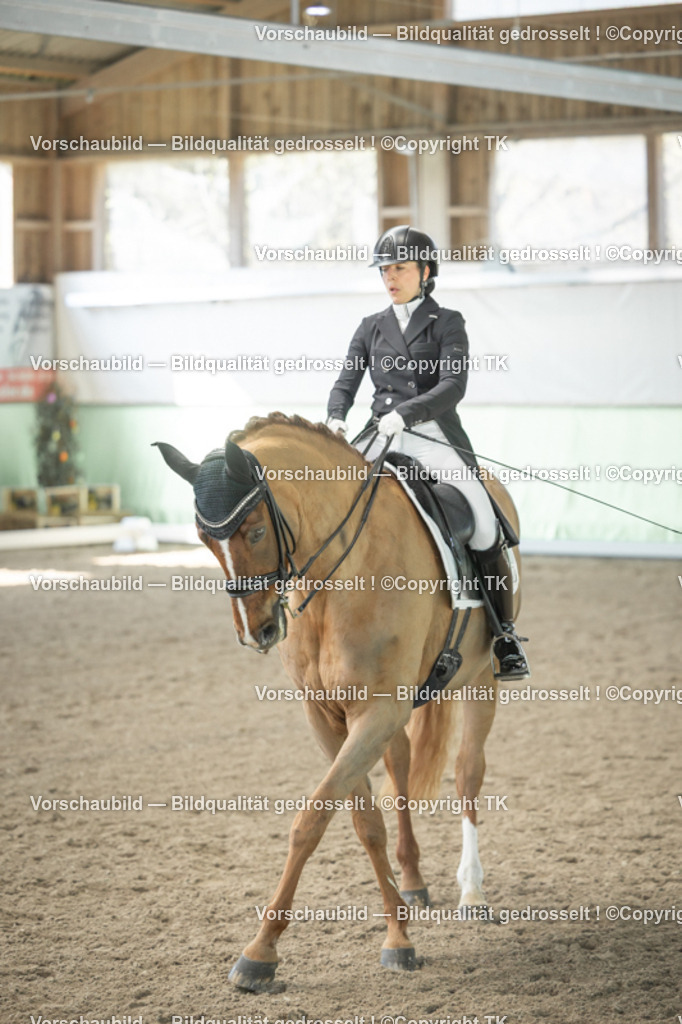 _D5A1356 | Emotionale Pferde- & People-Fotografie rund um Heidelberg, Leimen & Umgebung. Natürliche Fotos von Pferd, Mensch & Familie. Jetzt Termin sichern!