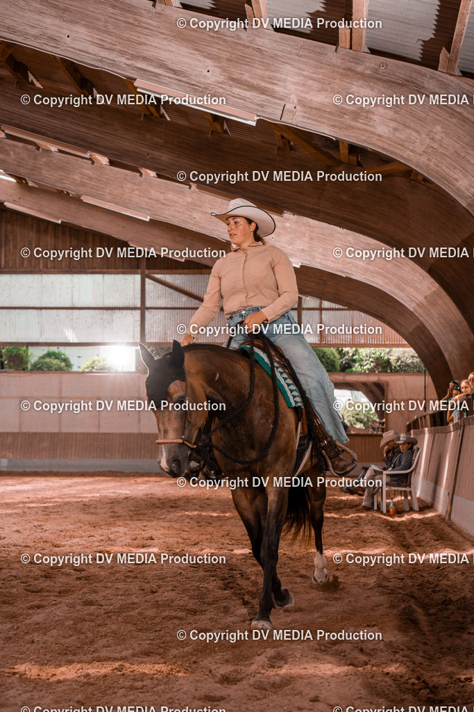 NE200548 | dv-media-shop - Realisiert mit Pictrs.com