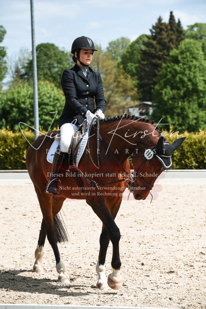 20230518_JK-Röhrsdorf-11-0474 | Pferde- und Turnierfotografie in Westsachsen. Pferdeportraits, Auftragszeichnungen und intuitive Kunst.