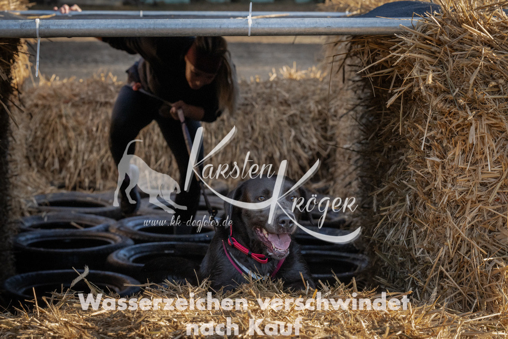 0944_ZZ94386 | kk-dogfotos