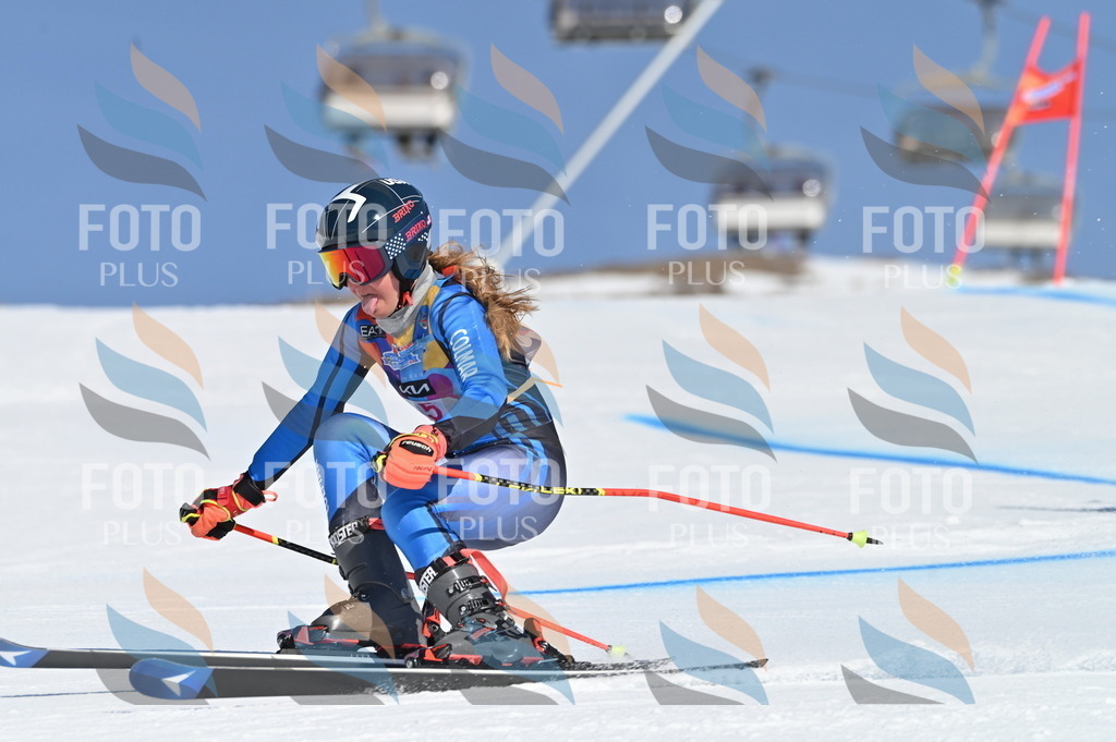 BGV_7658 | holidayphoto