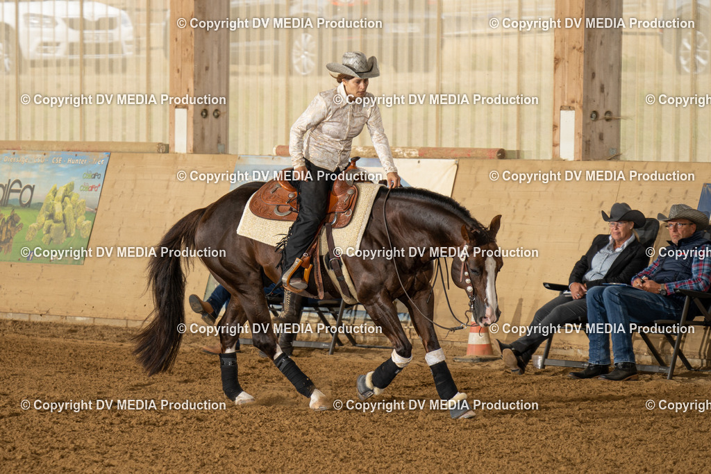 LAU01550 | dv-media-shop - Realisiert mit Pictrs.com