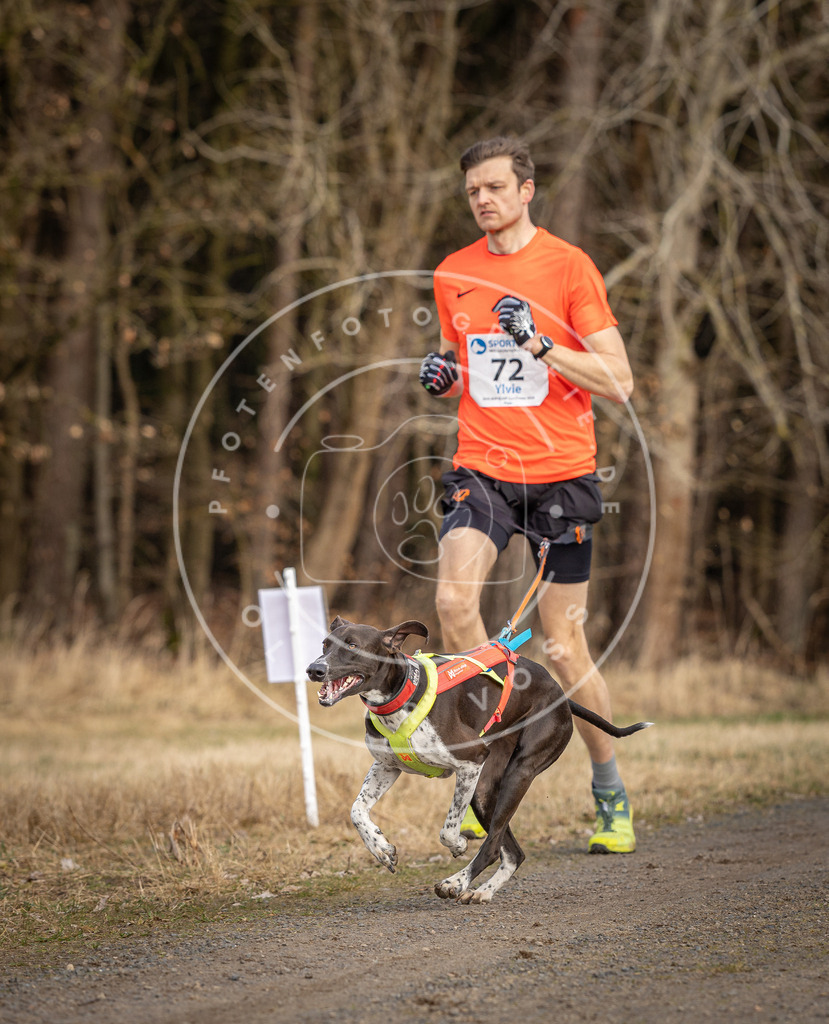 DV3A3653 | Hundefotografie, Tierfotograf, Pfotenfotografie, Fotoshooting Hund, Hunde Portrait, Hundesport, Hundeportraits, Heideshooting, Hunde, Sportfotograf, Hundefotograf, Turnierhundsport, THS,  - Realisiert mit Pictrs.com