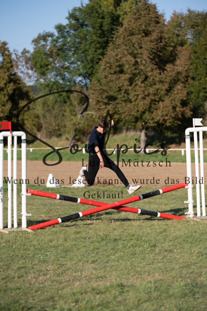 A7V04704 | Pferdefotograf