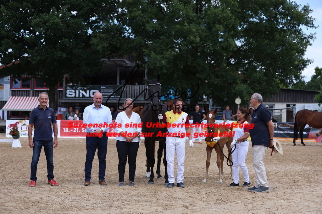 Fohlenschau_Schwäbisch_Hall_dressurbetonte_Fohlen_SIEGERFOHLEN_KN 4_9 | lmwpictures - Realisiert mit Pictrs.com