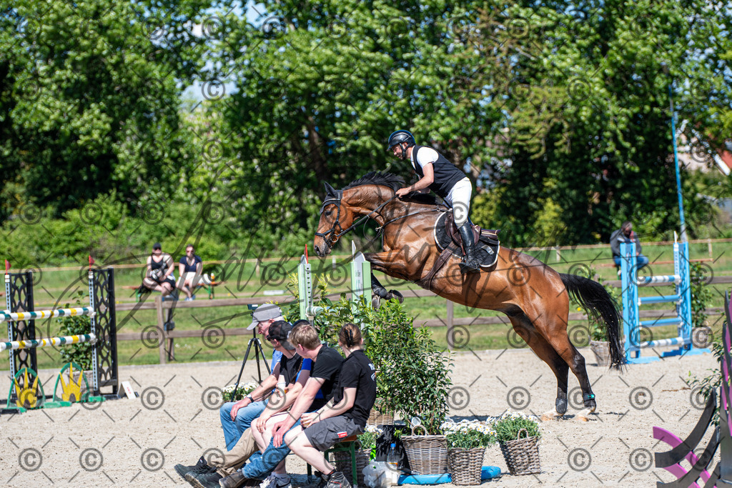 KPT_1360 | andre_photographic