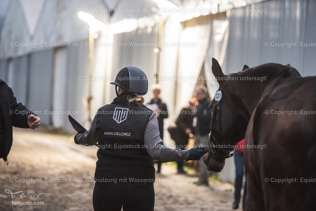 WEB_20241114_Vetcheck_TOMsPiC_0020 | Foto: Thomas Hartig
