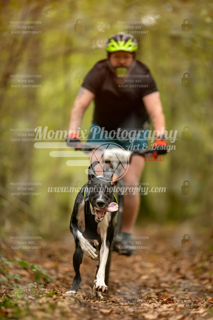TSB_2023_E1_Bike-8 | PayLife