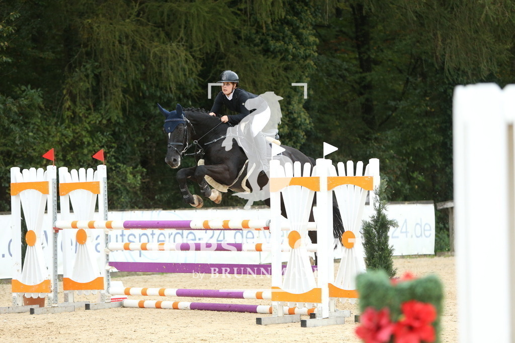 DL2Q2486 | Willkommen bei Brunnmayr - Design & Fotografie – Ihrem Spezialisten für Reitturniere und Pferdeveranstaltungen in Oberösterreich, Salzburg und Bayern! Seit über 17 Jahren sind wir leidenschaftlich dabei.