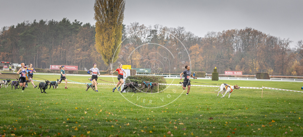 CaniXpix_DV3A8725 | Hundefotografie, Tierfotograf, Pfotenfotografie, Fotoshooting Hund, Hunde Portrait, Hundesport, Hundeportraits, Heideshooting, Hunde, Sportfotograf, Hundefotograf, Turnierhundsport, THS,  - Realisiert mit Pictrs.com