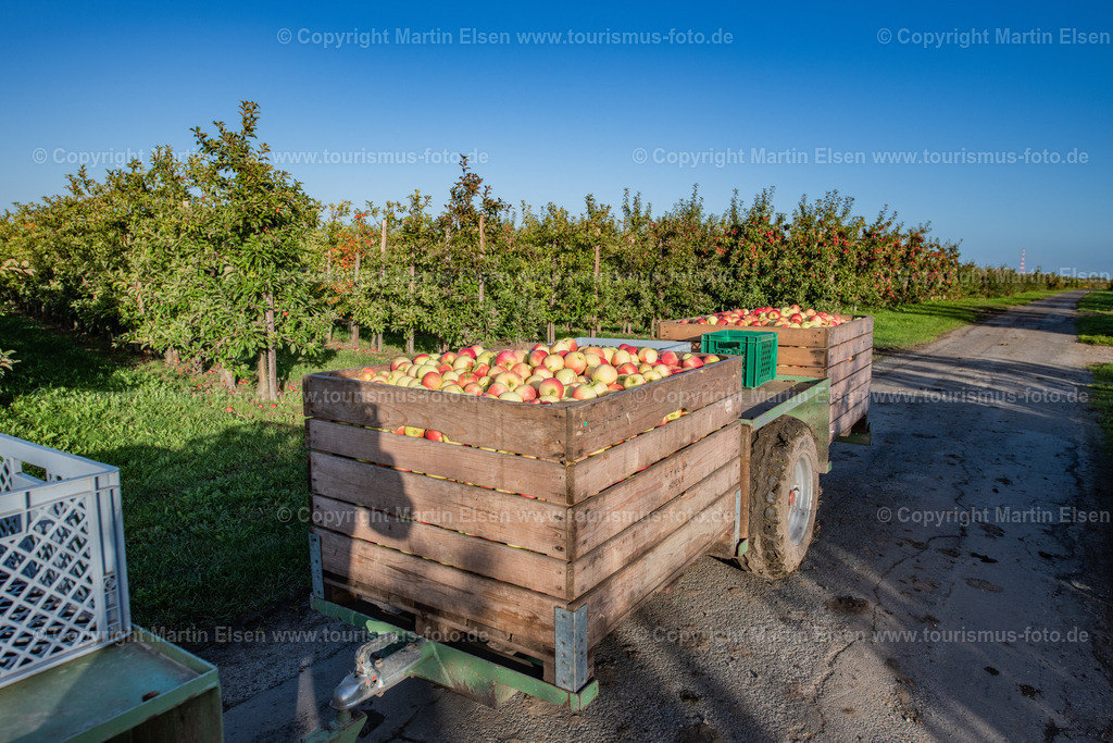 Altes Land Tourismus_ELS_3427061022 | Fotos aus den Touristenorten aus Norddeutschland. - Realisiert mit Pictrs.com