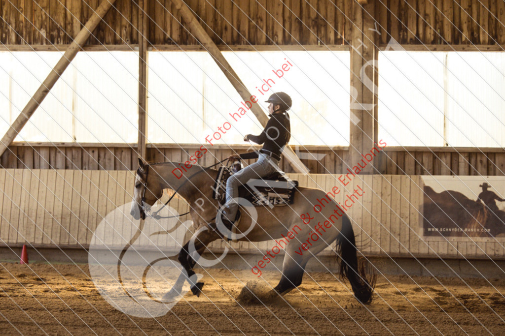 IMG_5164 | Sport-, Event- und Tierfotos in Profiqualität. Einfach auswählen, bestellen und herunterladen. Dein Moment – perfekt festgehalten.