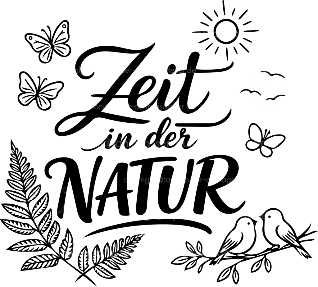 Handlettering mit deutschem Text Zeit in der Natur freigestellt D | Handlettering Design mit deutschem Text, der bedeutet: Zeit in der Natur. Doodles von Farnblättern, Schmetterlingen, Vögeln und Sonne kombiniert mit Schreibschrift und Druckschrift. Wellness, Gesundheit, Achtsamkeit und Outdoor Lifestyle.