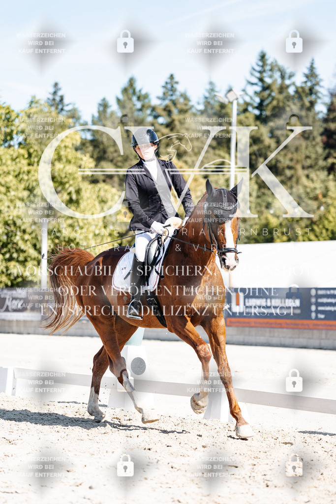 CK908859 | Turnierfotografie Pferdefotografie Trier Rheinland-Pfalz Pferdesport Reitsport Tierfotografie Sportfotografie Pferdevideo Pferdevideografie Equestrianvideography equestrianphotography  - Realisiert mit Pictrs.com