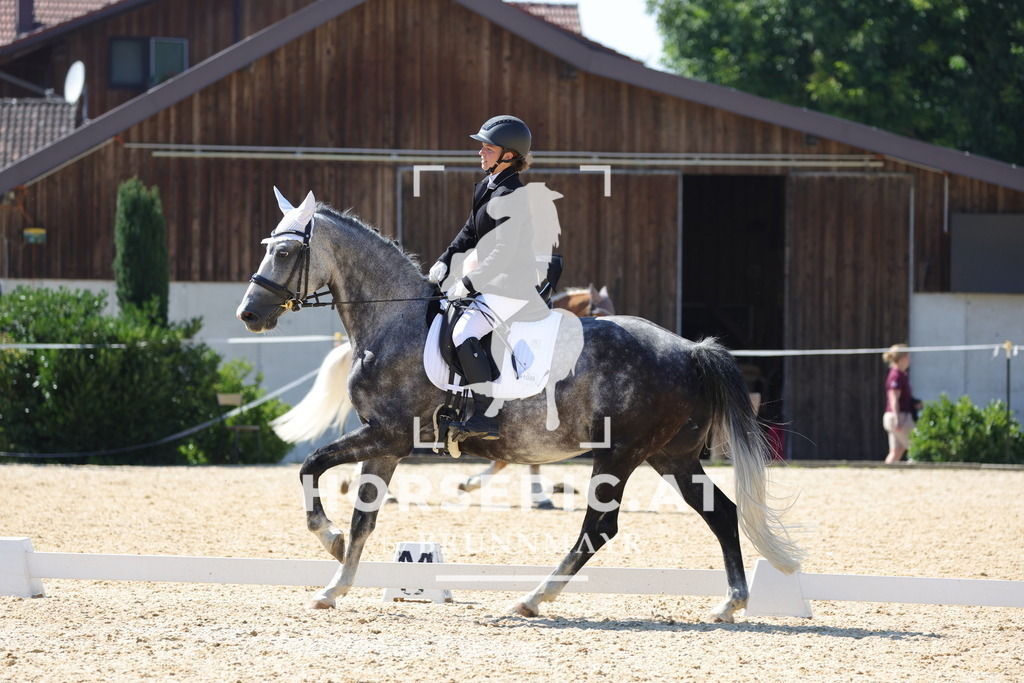 0P6A1338 | Willkommen bei Brunnmayr - Design & Fotografie – Ihrem Spezialisten für Reitturniere und Pferdeveranstaltungen in Oberösterreich, Salzburg und Bayern! Seit über 17 Jahren sind wir leidenschaftlich dabei.